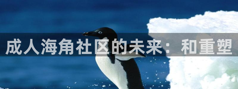 海角社区粉丝:成人海角社区的未来:和重塑