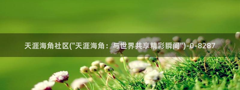 海角社区安装包:天涯海角社区(\